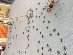 -天虹购物中心(石路店)