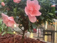 -去吃小龙虾·江湖菜·烧烤(南滨路店)