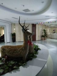 -润泽瑞尼丝医疗美容医院