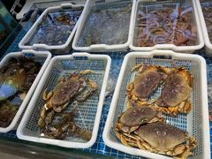 -宴小馆·小海鲜青岛菜(五四广场店)