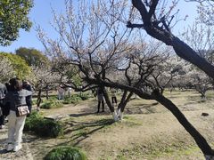 -白马涧龙池景区