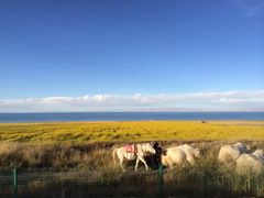 -青海湖国家重点风景名胜区
