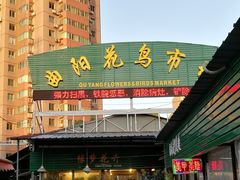 -曲阳花鸟市场(曲阳路店)