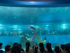 -苏州海洋馆