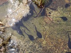 -溪口-滕头旅游景区