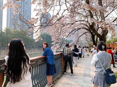 -红星桥(地铁站)