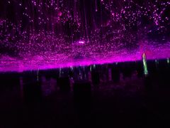 -无锡动物园·太湖欢乐园