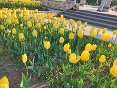 -长春公园(普阳街道)