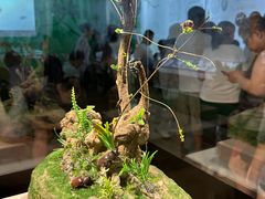 -烟台市博物馆