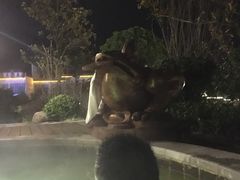 -抚州汤溪温泉