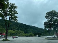 -武陵山森林公园