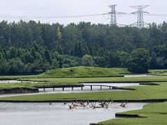 -溱湖国家湿地公园