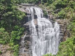 -海南热带雨林国家公园吊罗山景区