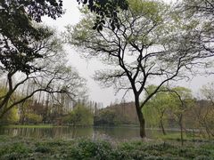 -茅家埠