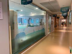 -亲亲袋鼠托育早教·思维专注力·棕熊英语(鼓楼恒力城店)