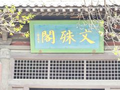 -善化寺