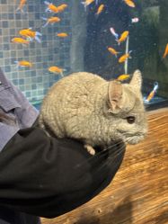 -Zoolung Zoolung动物主题公园(海信广场店)
