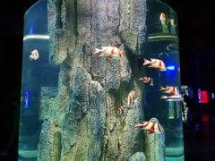 -福州罗源湾海洋世界旅游区