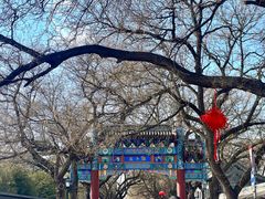-北京国子监胡同