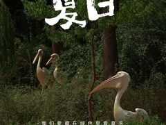 -上方山森林动物世界