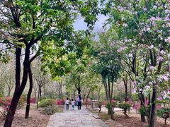 -南宁市凤岭儿童公园