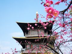 -广富林郊野公园