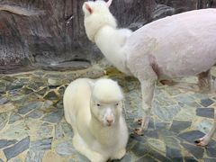 -上海大自然野生昆虫馆(东方明珠·爬宠昆虫探索中心)
