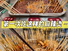 -张十三·益阳麻辣烫(深圳景田店)