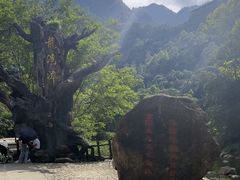 -龙湾潭国家森林公园
