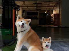 -YCHL Studios健身工作室(市二宫店)