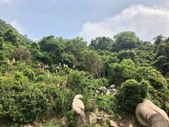 -火炉山森林公园
