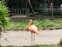 -广东茂名森林公园