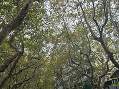 -一尺花园(安和花园店)