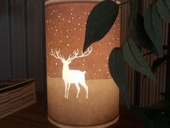 -Deer Park鹿园西餐(仁恒置地广场店)