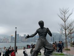 -星光大道