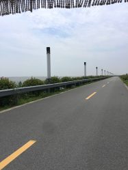 -水八仙生态园