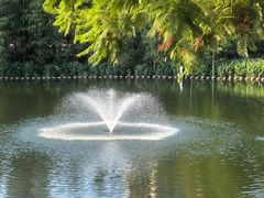 -重庆彩云湖湿地公园