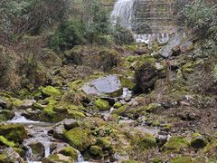 -鹿院坪生态旅游景区