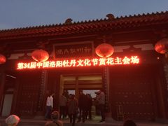 -神州牡丹园