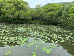 -兰亭风景区