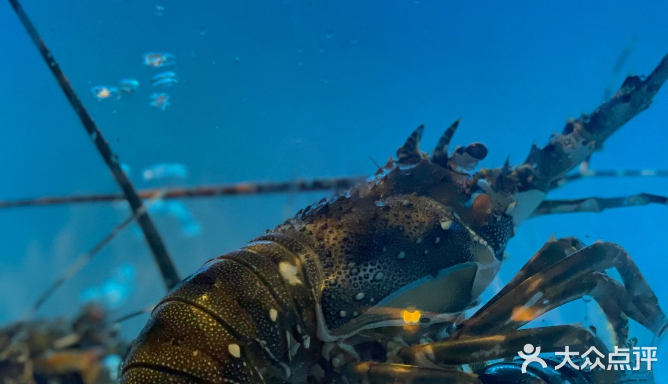 深夜打卡活泼水产