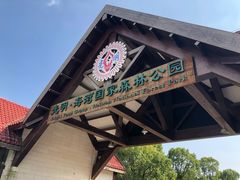 -上海海湾国家森林公园