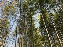 -陶祖圣境风景区