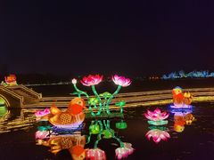-桐乡凤凰湖