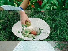 -幽岚山·童话森林