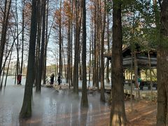 -东湖落雁景区