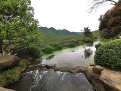 -中国茶叶博物馆(双峰馆区)