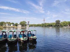 -朝阳公园游乐园