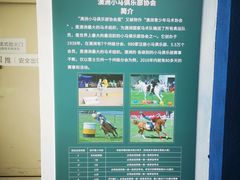 -骑乐马术(广州奥体优托邦中心)
