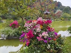 -云溪植物园